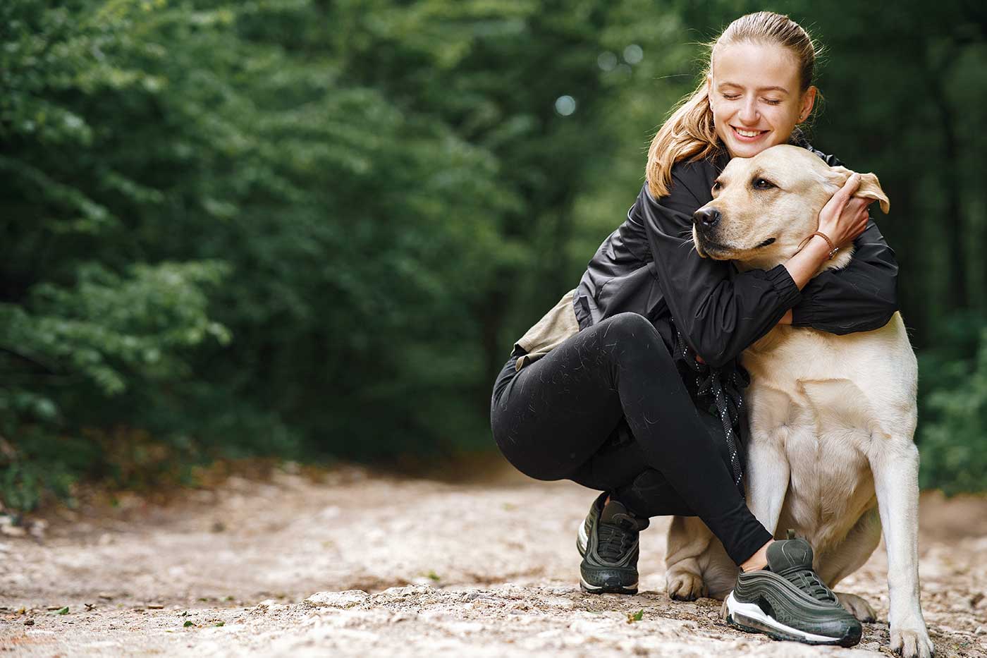 dilatation estomac chien sans torsion