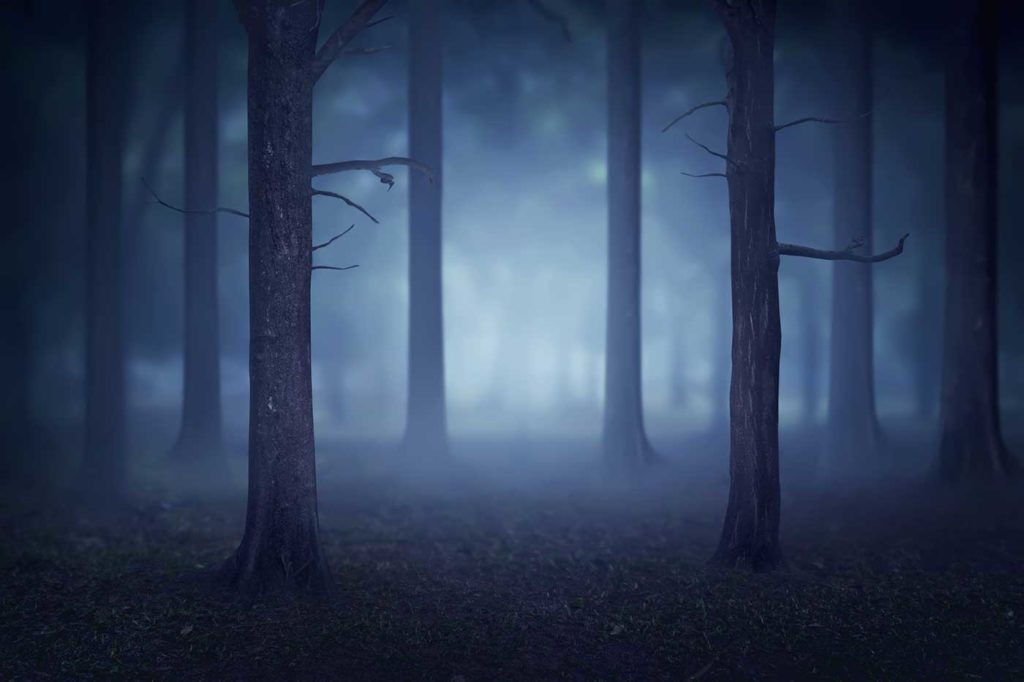 Une forêt la nuit, dans un léger brouillard suscite une peur irraisonnée attisée par toutes les histoires qu'on nous a racontées enfant.