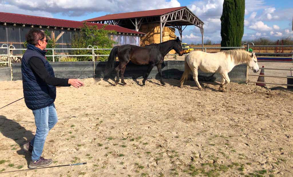 Leslie Laagel, infinity coaching à Cernay, Alsace, France.