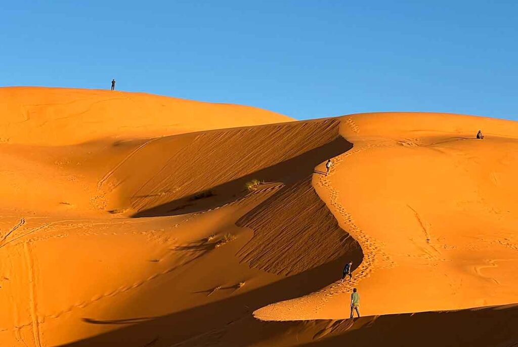 Dunes dans le désert algérien © Roger Juillerat