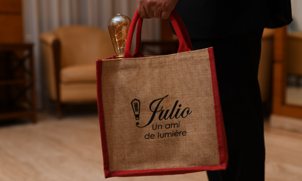 Julio sac jute