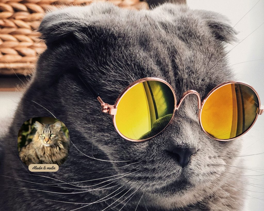 aladin-lunettes-yeux-raoul-droog