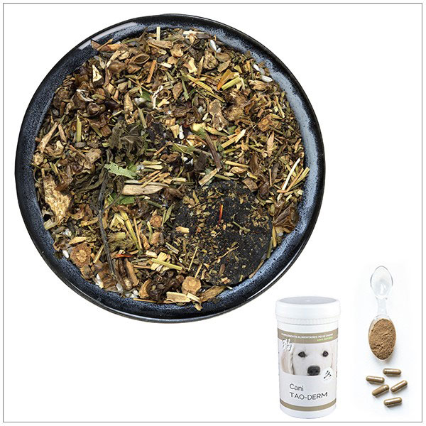 allergies-dermite-chien