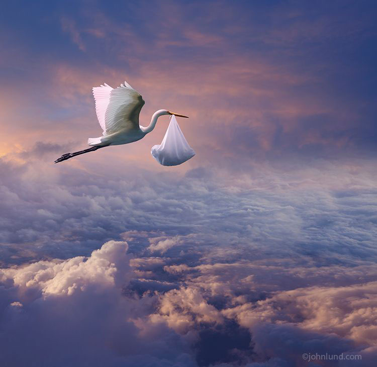 cigogne-apporte-un-enfant