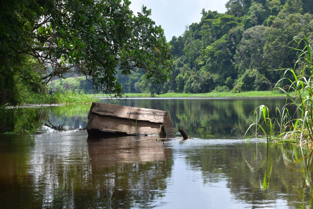 kosipo-lac-bois-imergé-image37