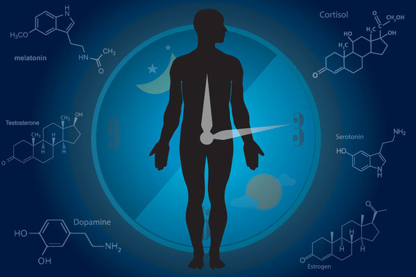 Chronobiologie-sommeil