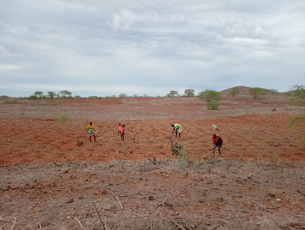 cultivateurs-maio-cap-vert