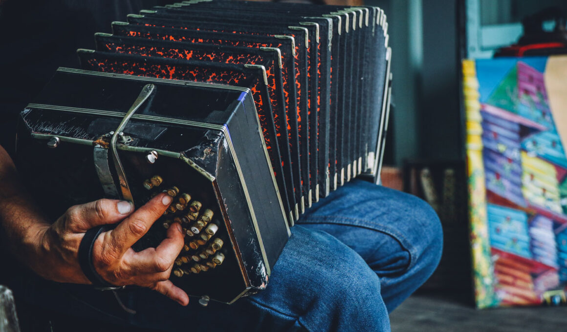 artiste-accordeon