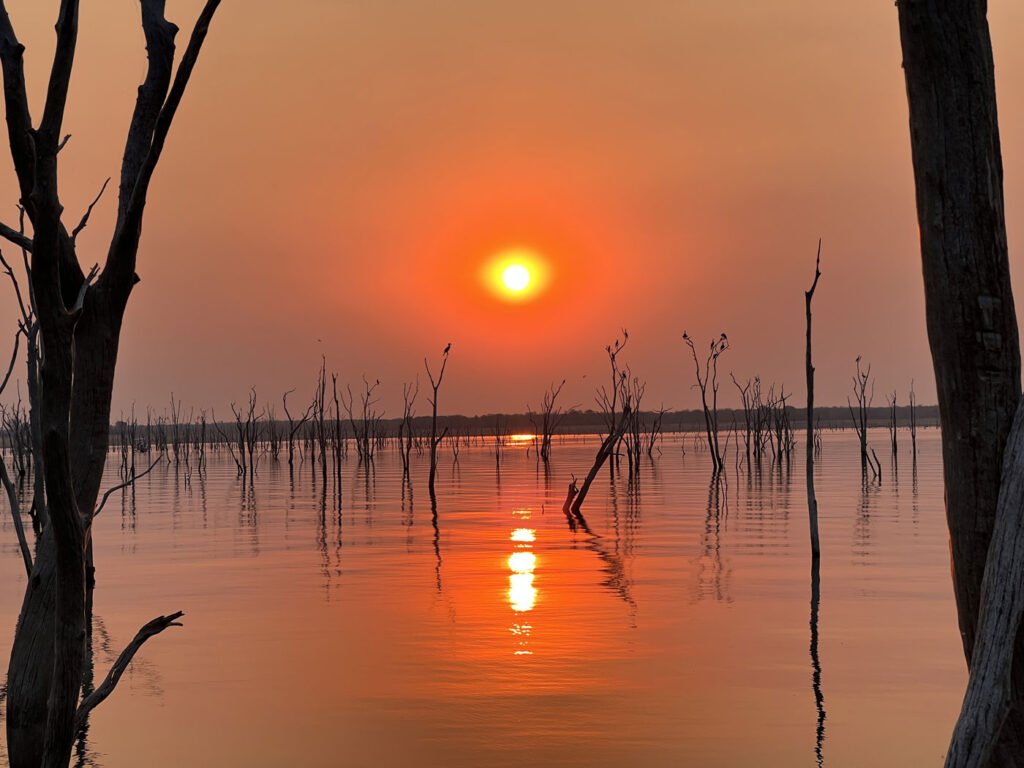 cormorans-soleil-couchant