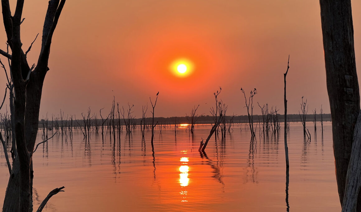 cormorans-soleil-couchant