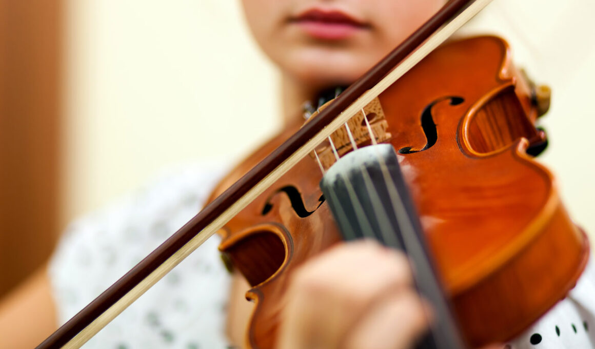 artiste-violoniste-femme