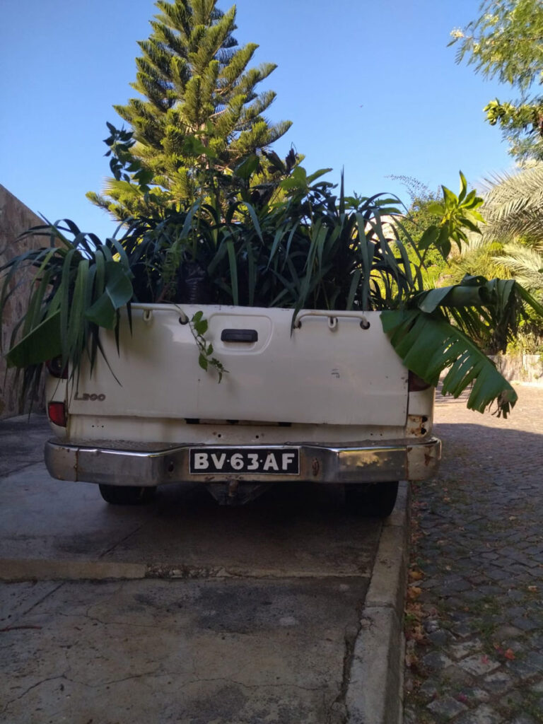 maio-raphael-colicci-camion