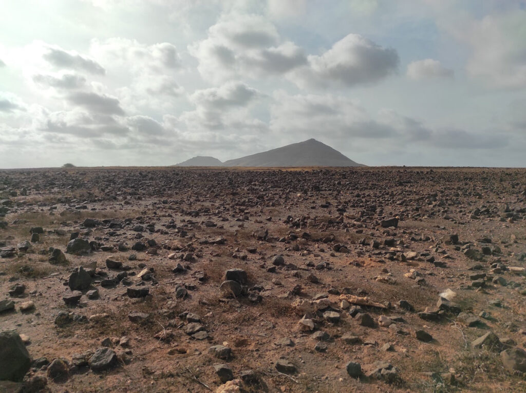 maio-raphael-colicci-désert