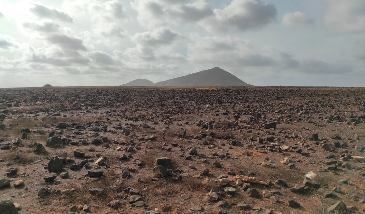 maio-raphael-colicci-désert