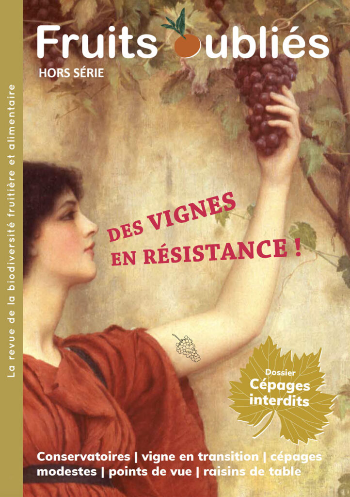 Collicci_Fruits-oubliés-couv