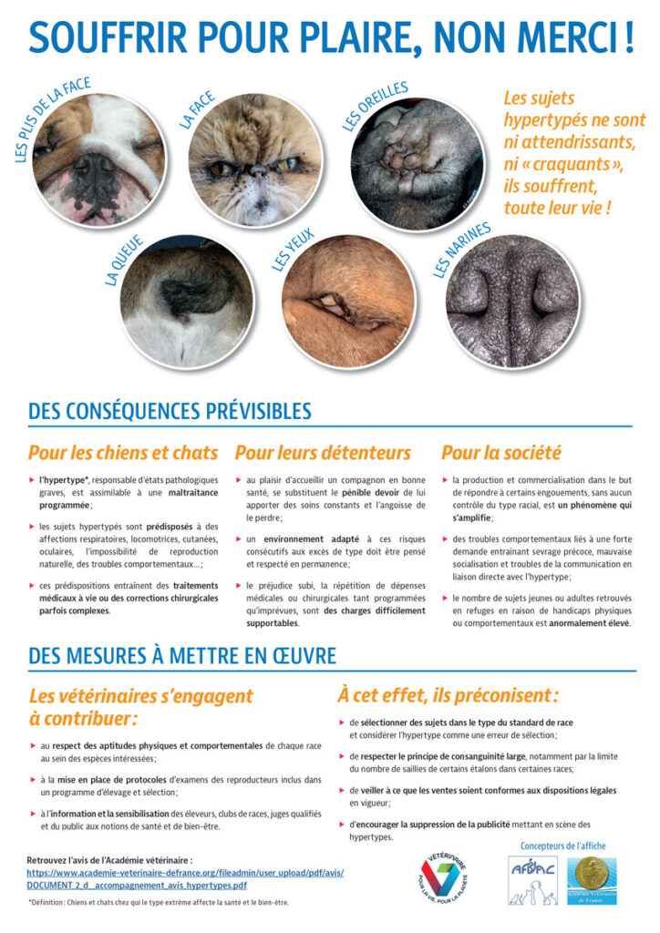 affiche_afvac_hypertypes_A4