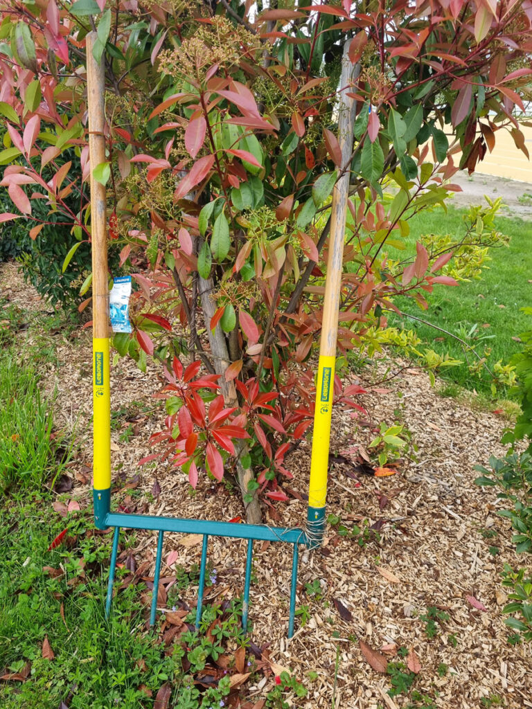 grelinette dans un jardin