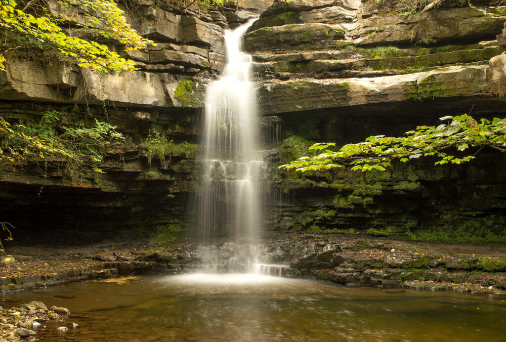 Une chute d'eau dans une forêt