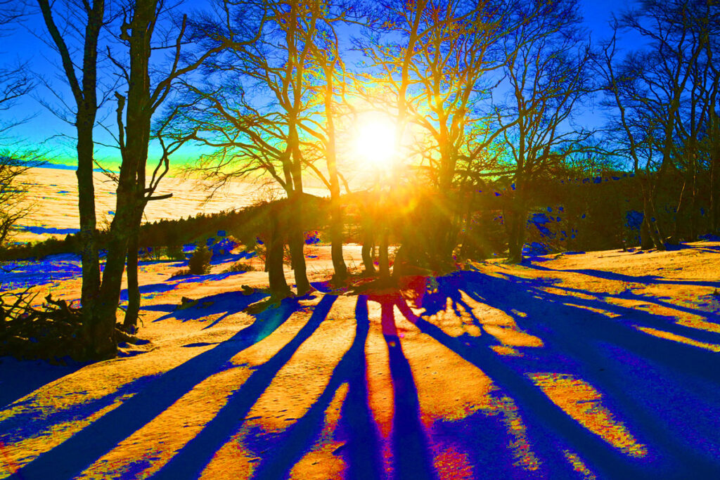 paysage enneigé en photo metamorphose