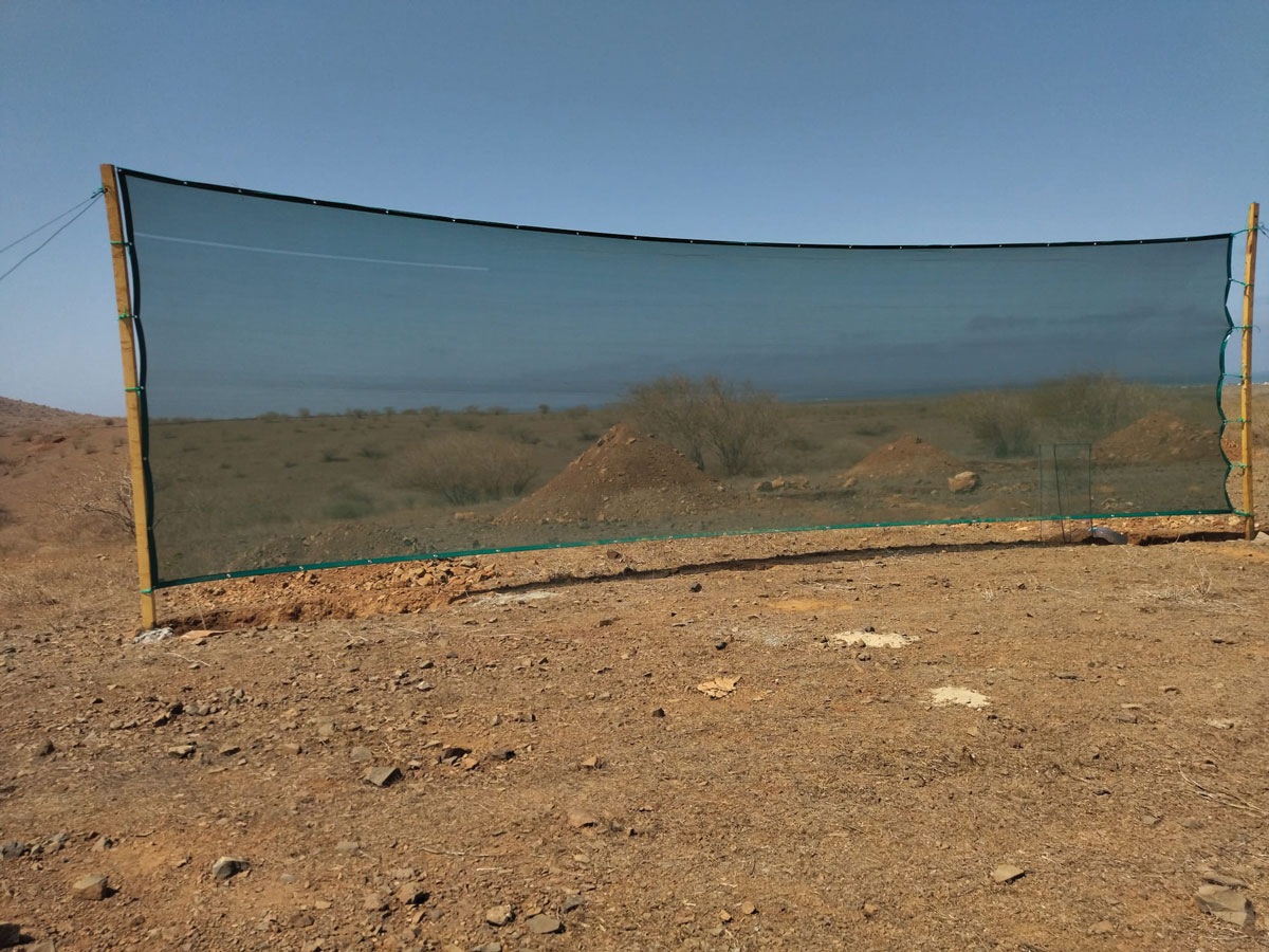 Filet pour la récupération d'eau à Maio