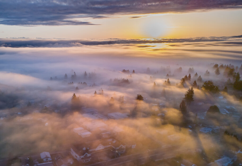 Un brouillard dû aux ondes électromagnétiques