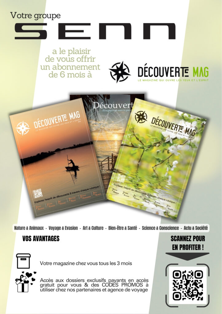 Flyer-SENN-abo-media