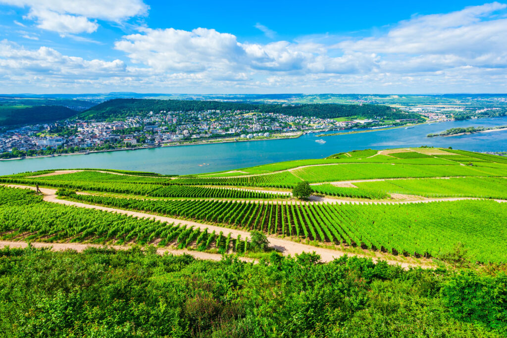 Rüdesheim