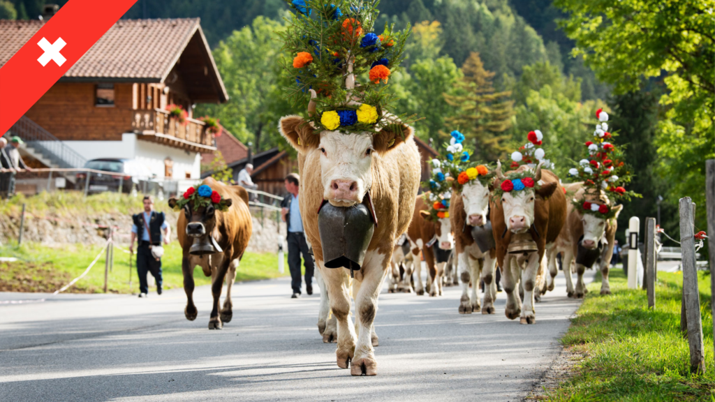 La Désalpe de Charmey - Suisse