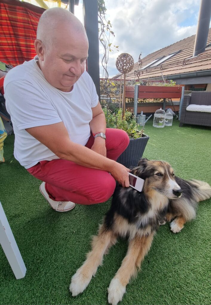 Séance de biorésonance pour chien