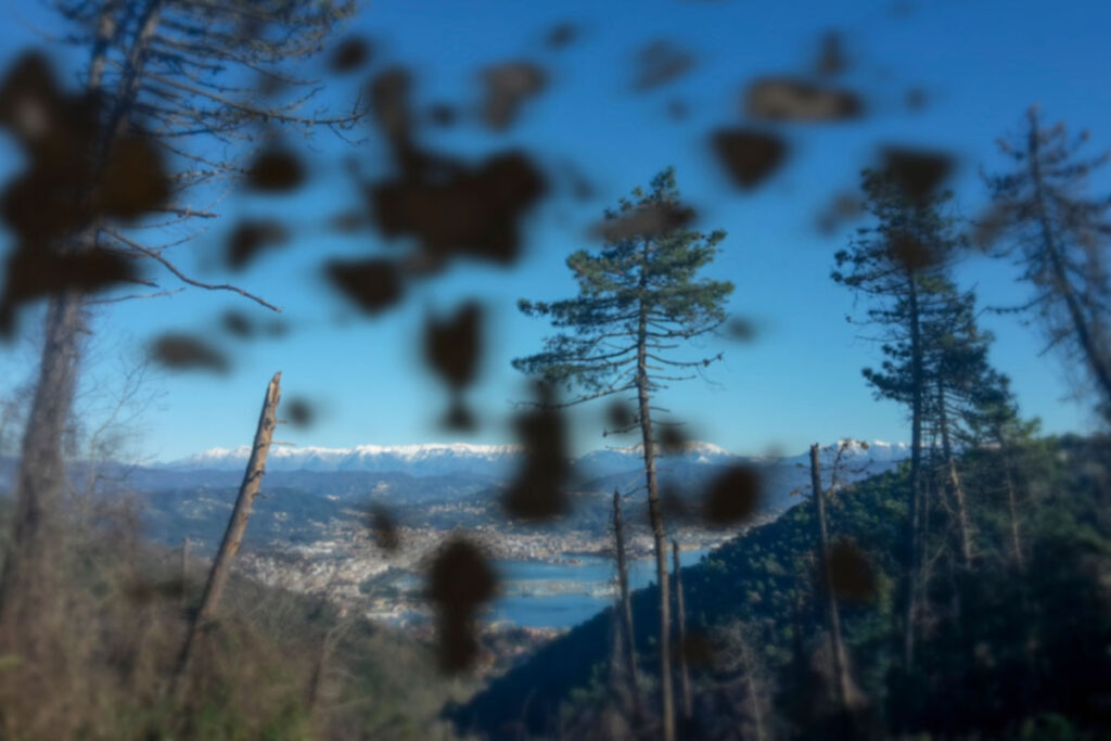 Un champ de vision avec des grandes tâches noires
