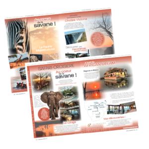 4 pages magazine African dream