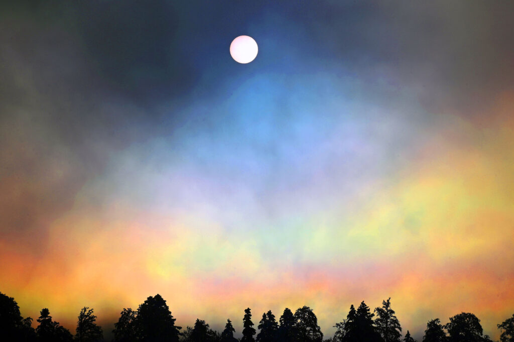 Miracle-@Ralph-Schafflützel