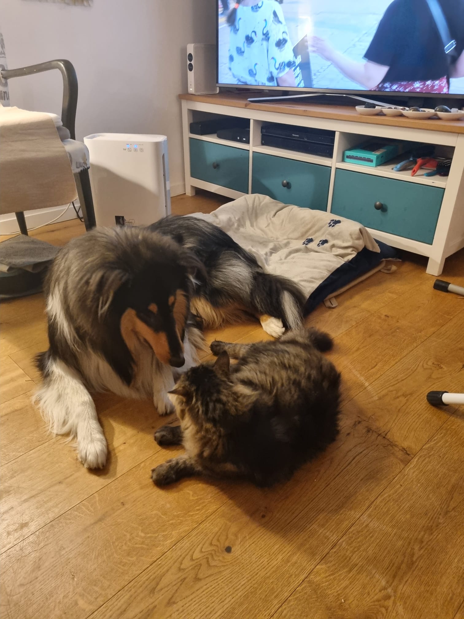 Scott et Aladin le Malin