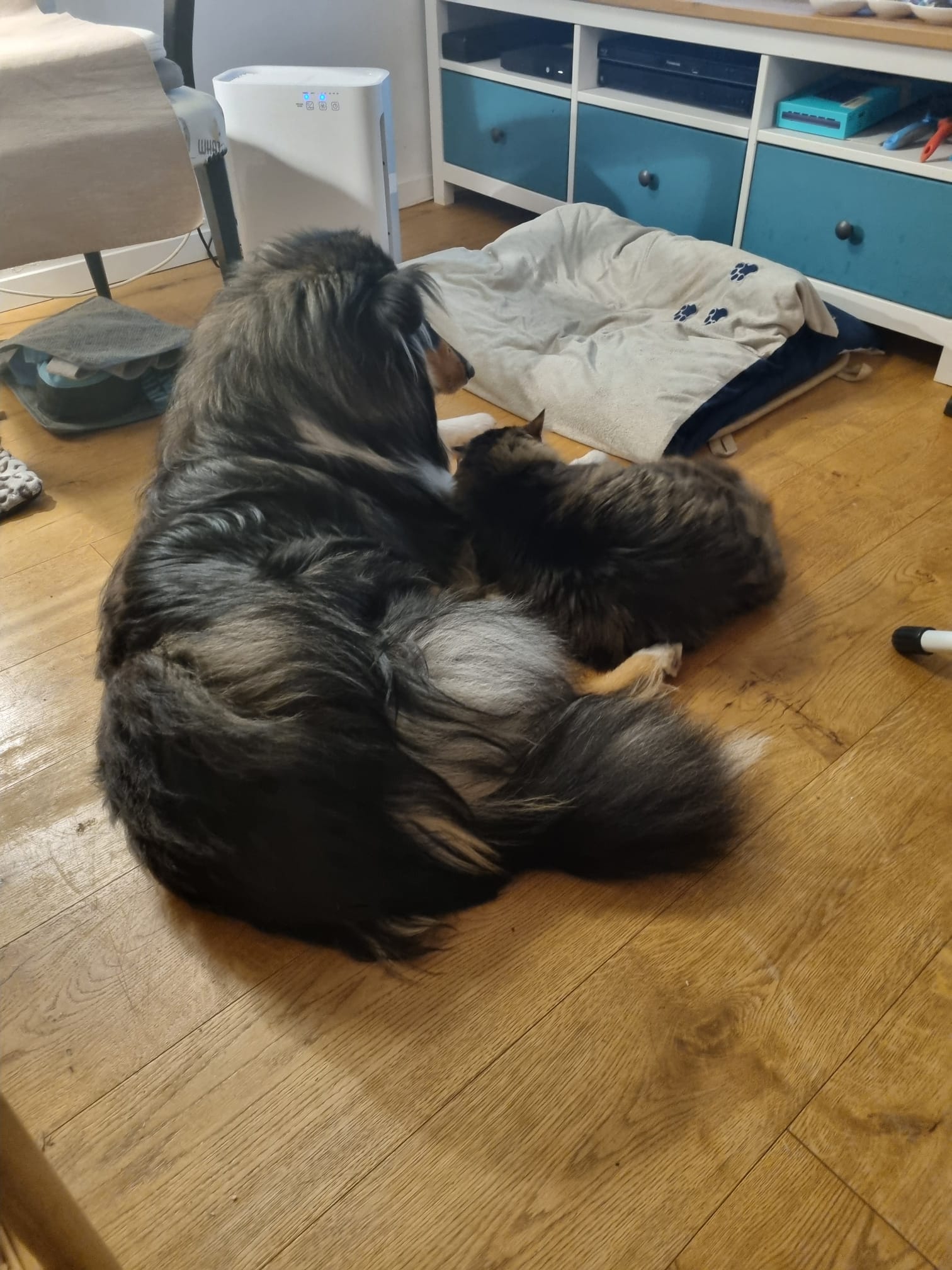 Scott et Aladin le Malin