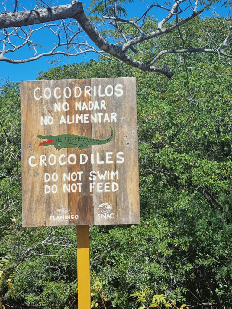 Pancartes "attention aux crocodiles"
