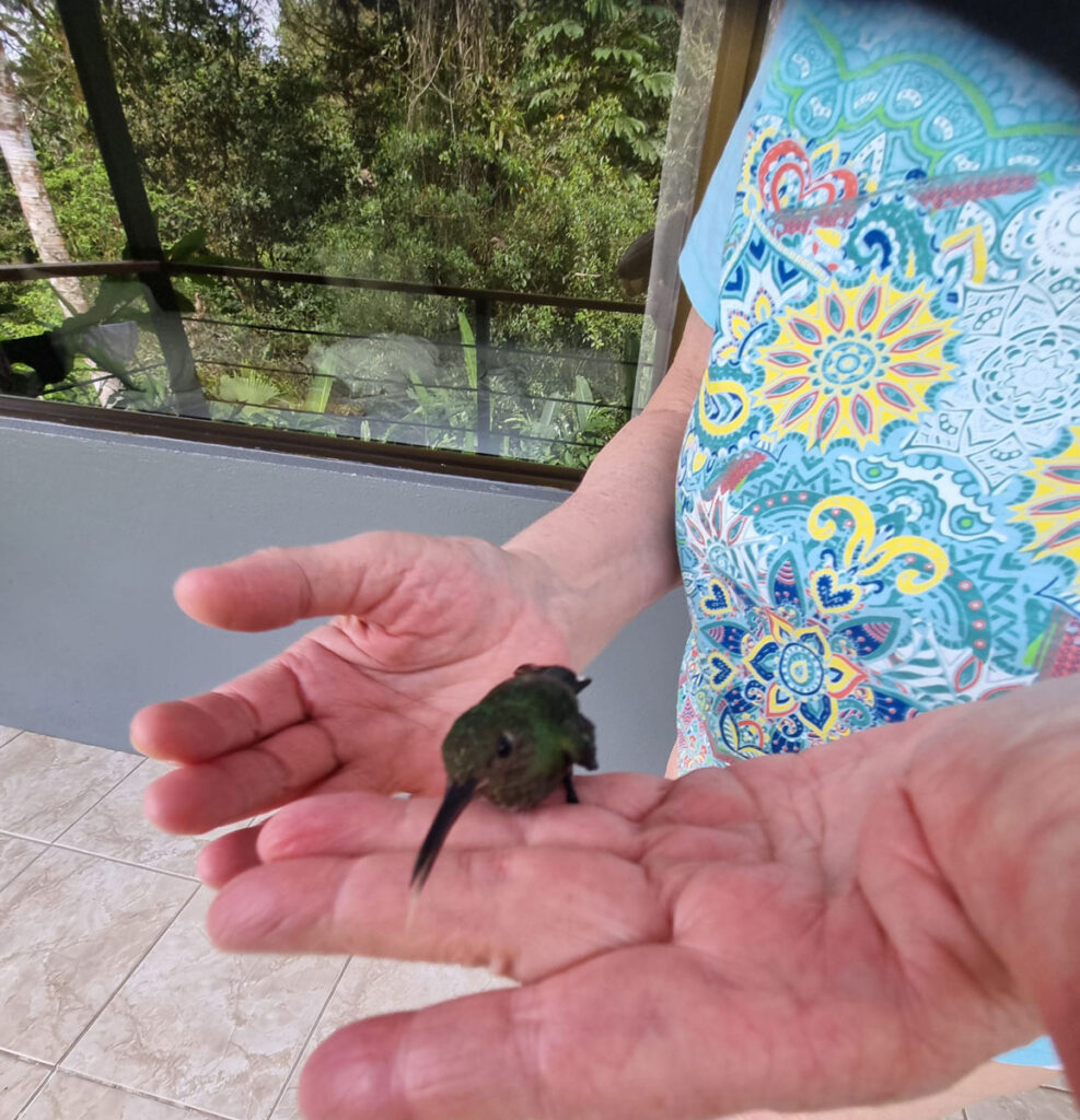 Un colibri dans les mains de Sonia
