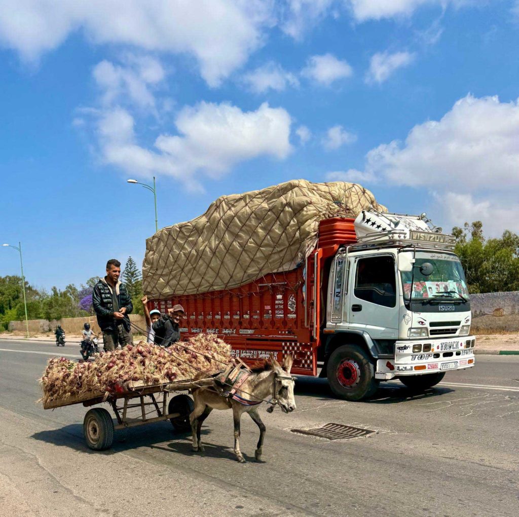 © Roger Juillerat ‘ carnet de route au Maroc du sud en avril 2026’